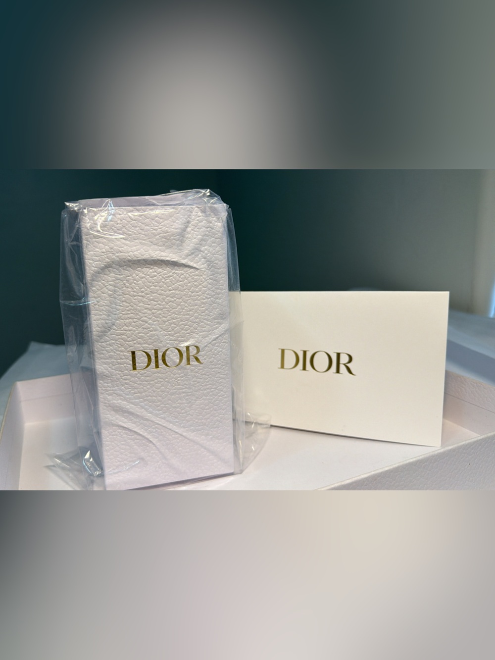 New,authentic & unopened Dior Insulated Travel Cup Mug.Price Firm! - Picture 2 of 4